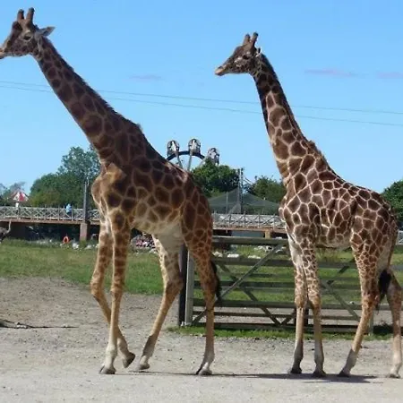 Flamingo Land Beech Grove Vakantiepark Kirby Misperton